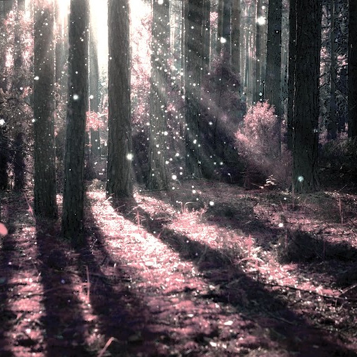 Elder Forest icon