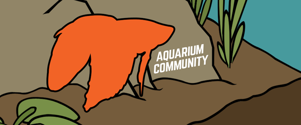 Aquarium Community banner