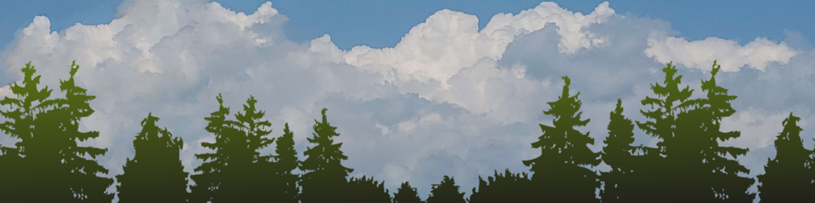 Ælingæa banner