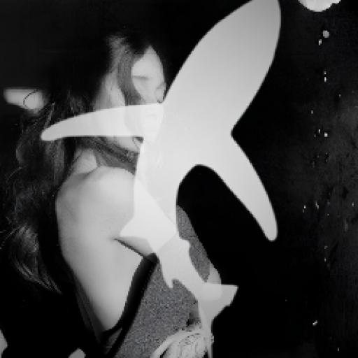 SHARKS icon