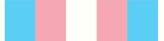 LGBTQIA+ save zone banner