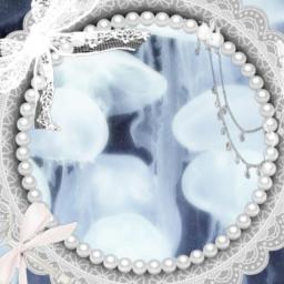 ⋅˚₊‧ ଳ Jelly Wings ໒꒱ ‧₊˚