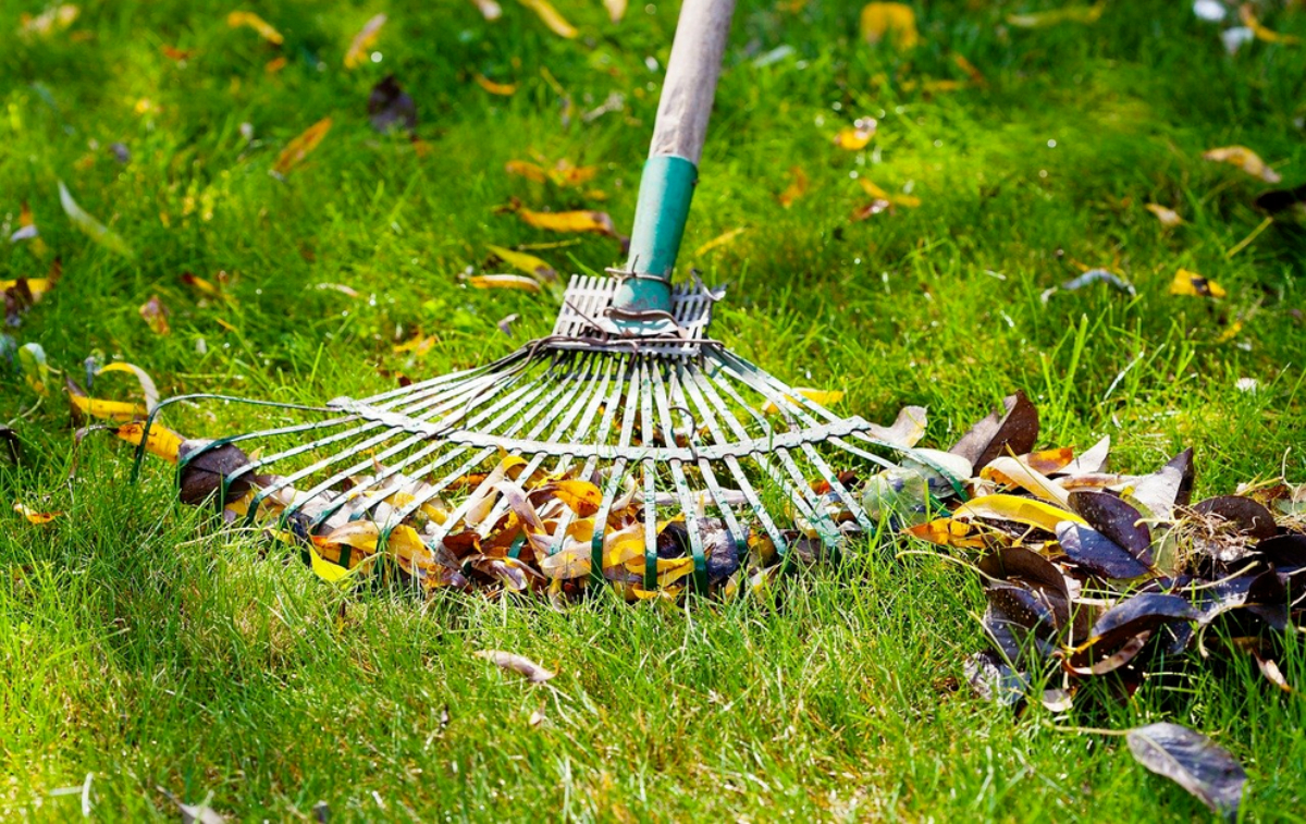 Post image from Gardening Monaco