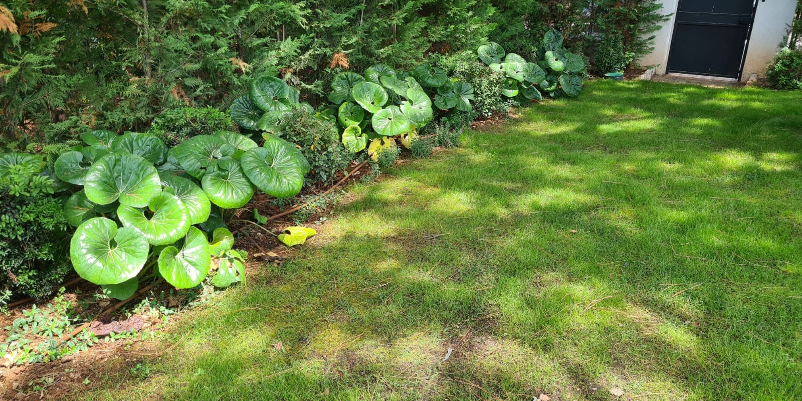 Gardening Monaco thumbnail