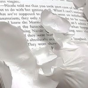 Comunidad de roblox icon