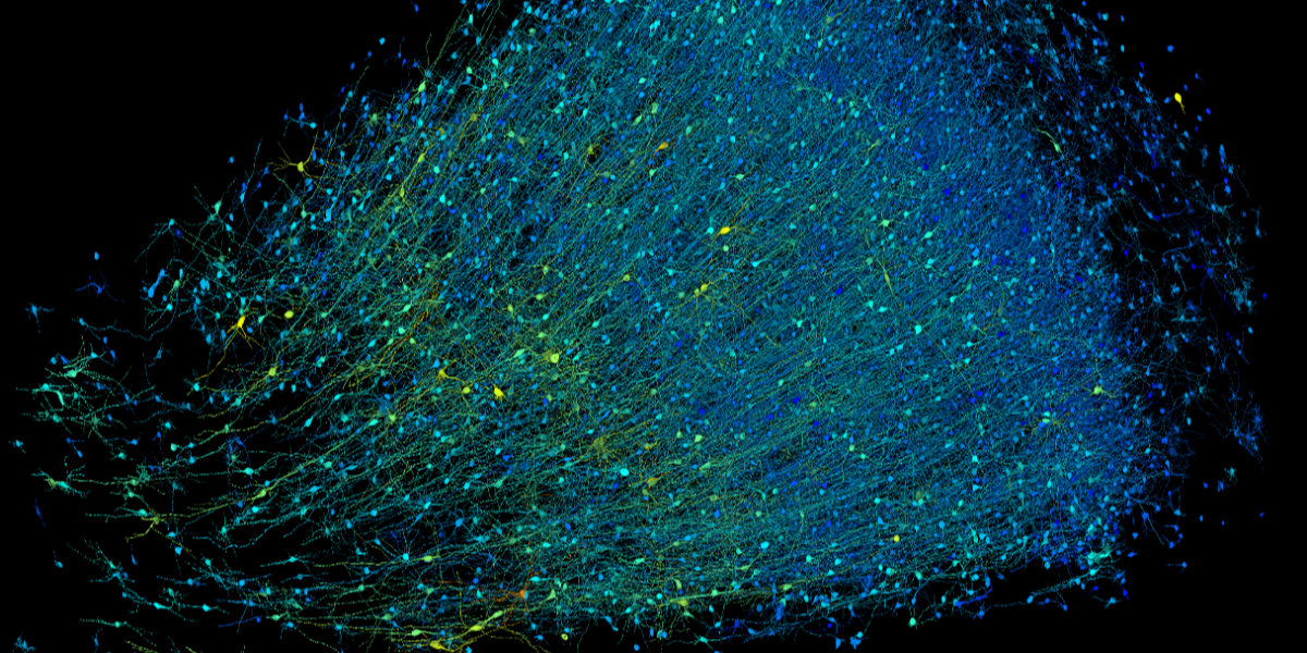 (Clinical) Neuropsychology thumbnail