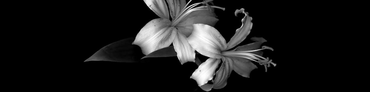 Hell's Paradise banner