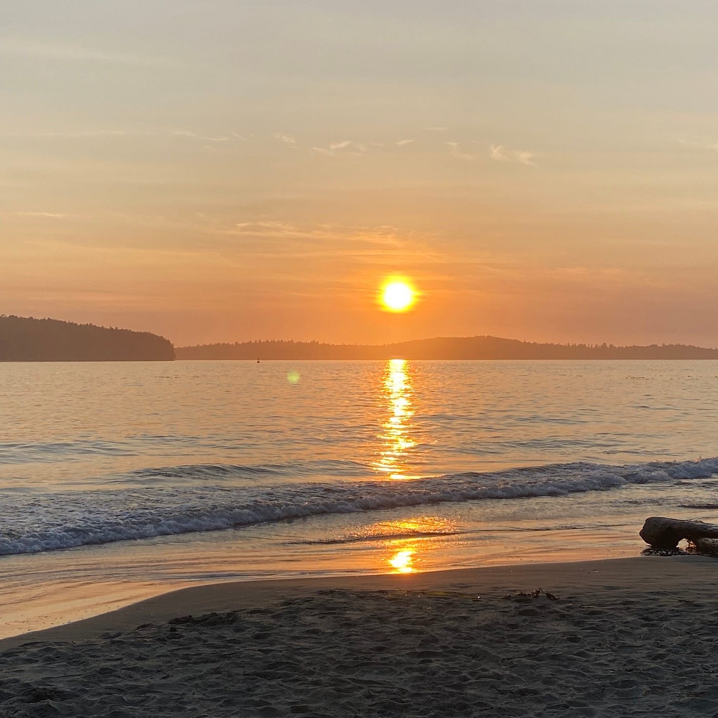 Raw Primal Community 🥩 icon