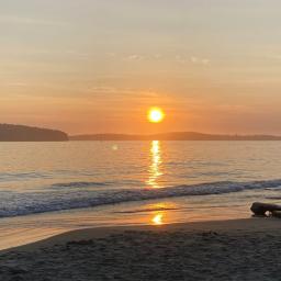 Raw Primal Community 🥩