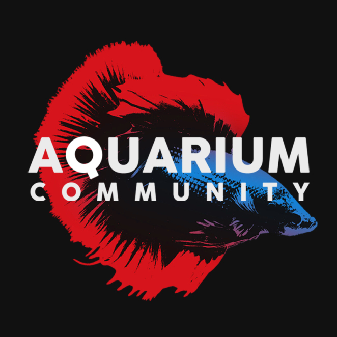 Aquarium Community thumbnail