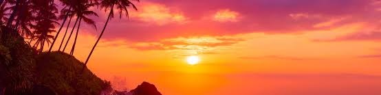 Pipi Chilling banner
