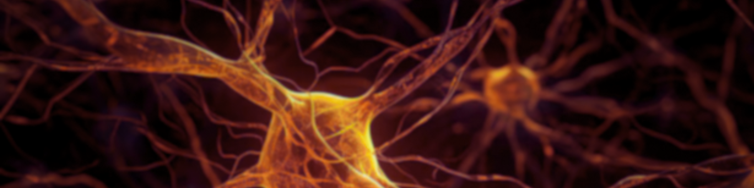 Cybernetics Discord banner