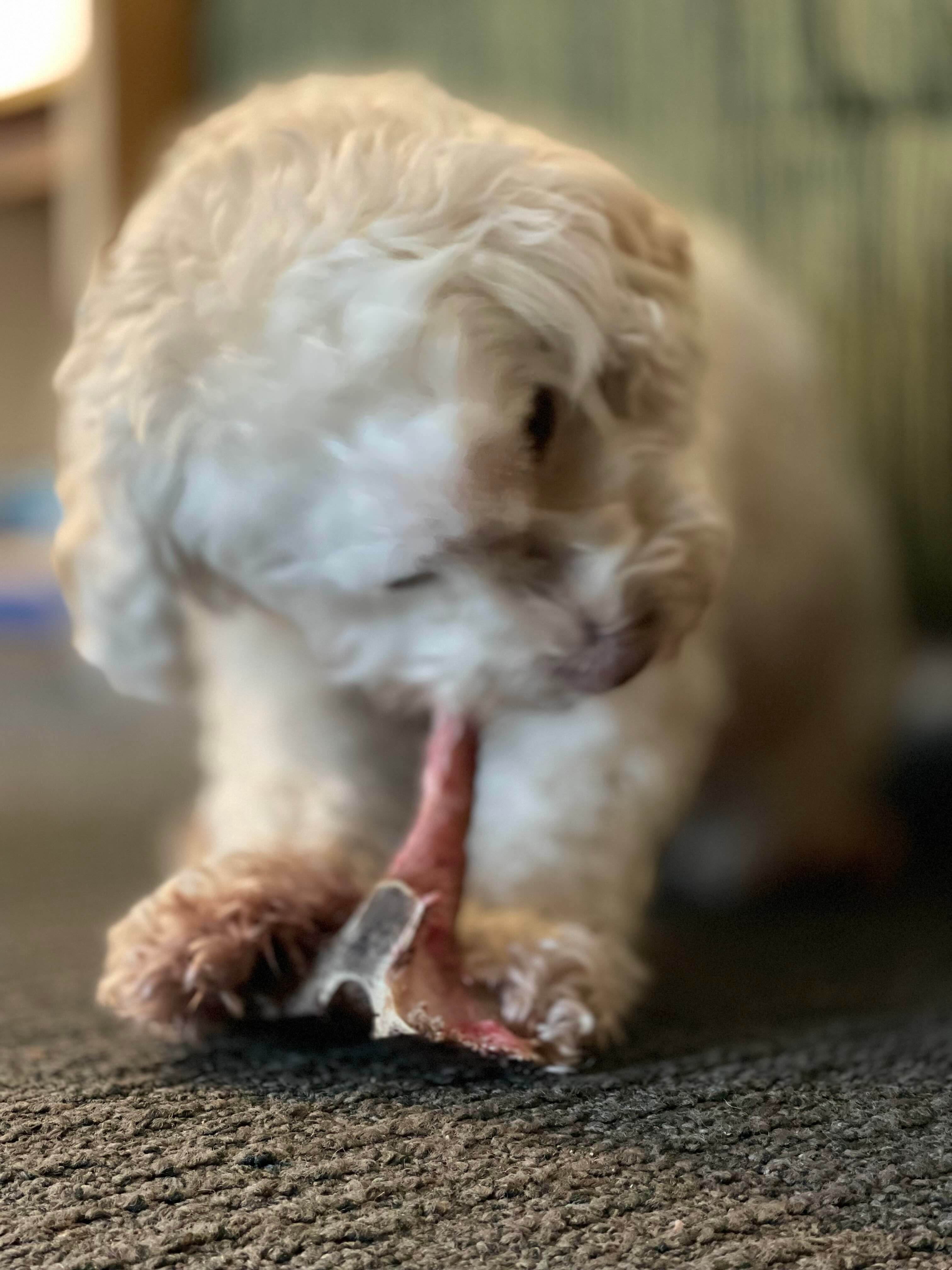 Post image from Secret Society