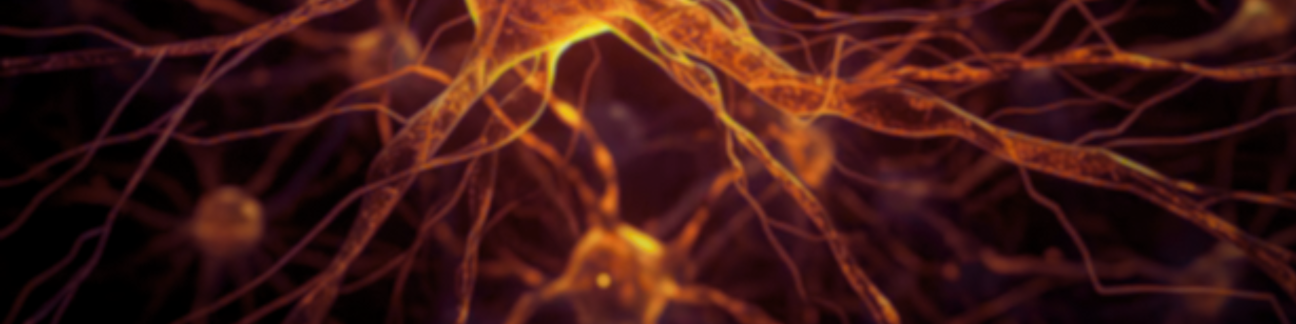 Human Augmentation Discord banner