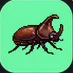 Beetles & Beetle Keeping icon