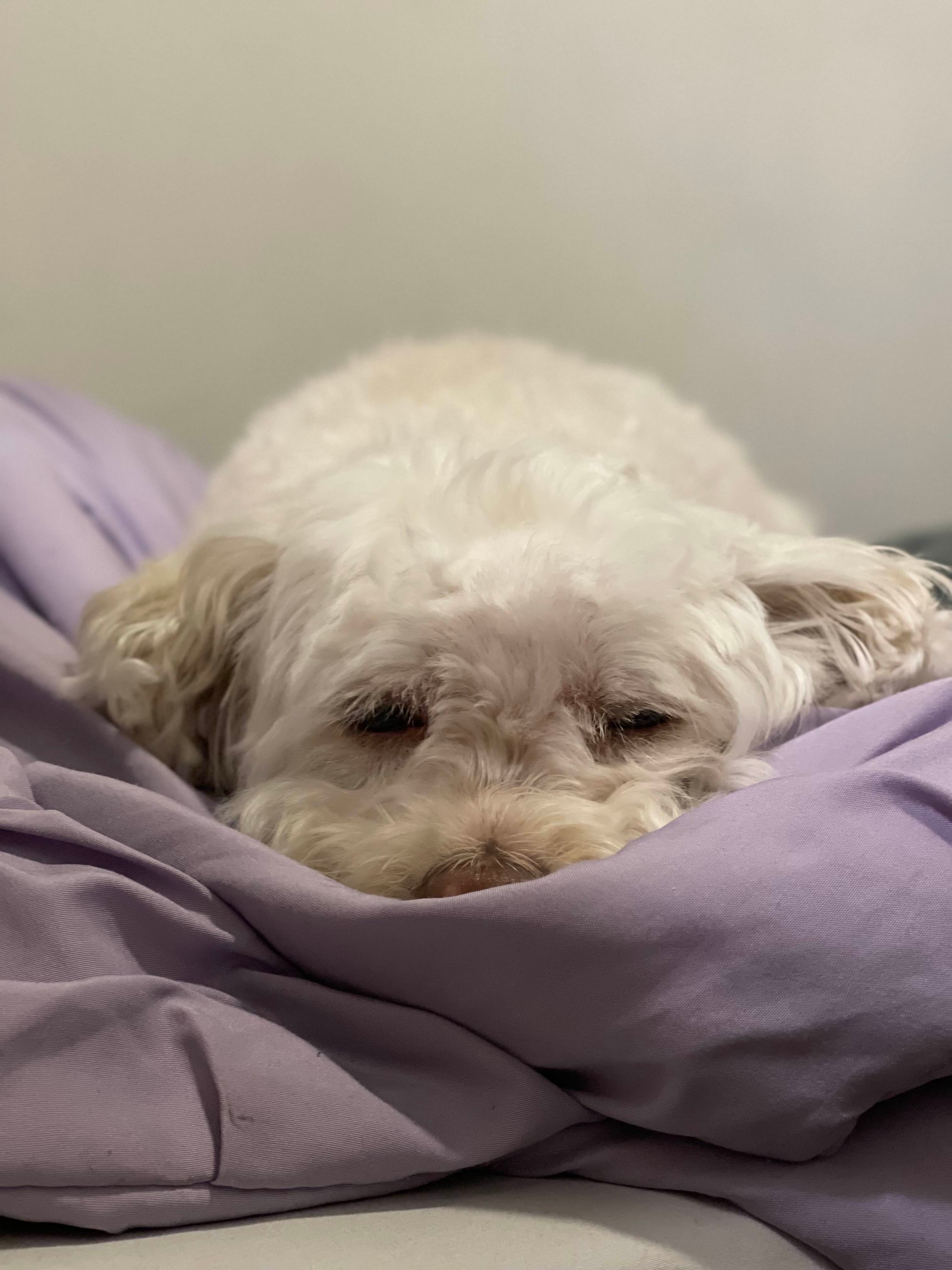 Post image from Secret Society