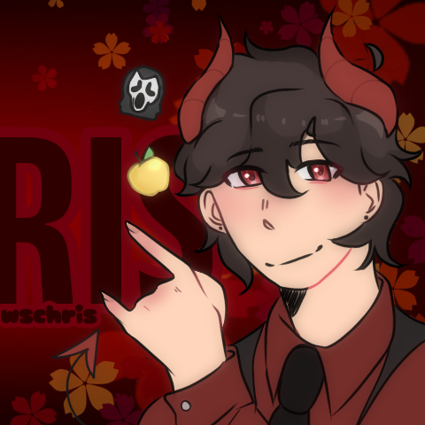 wschris icon