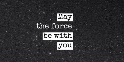 Star Wars Fans thumbnail