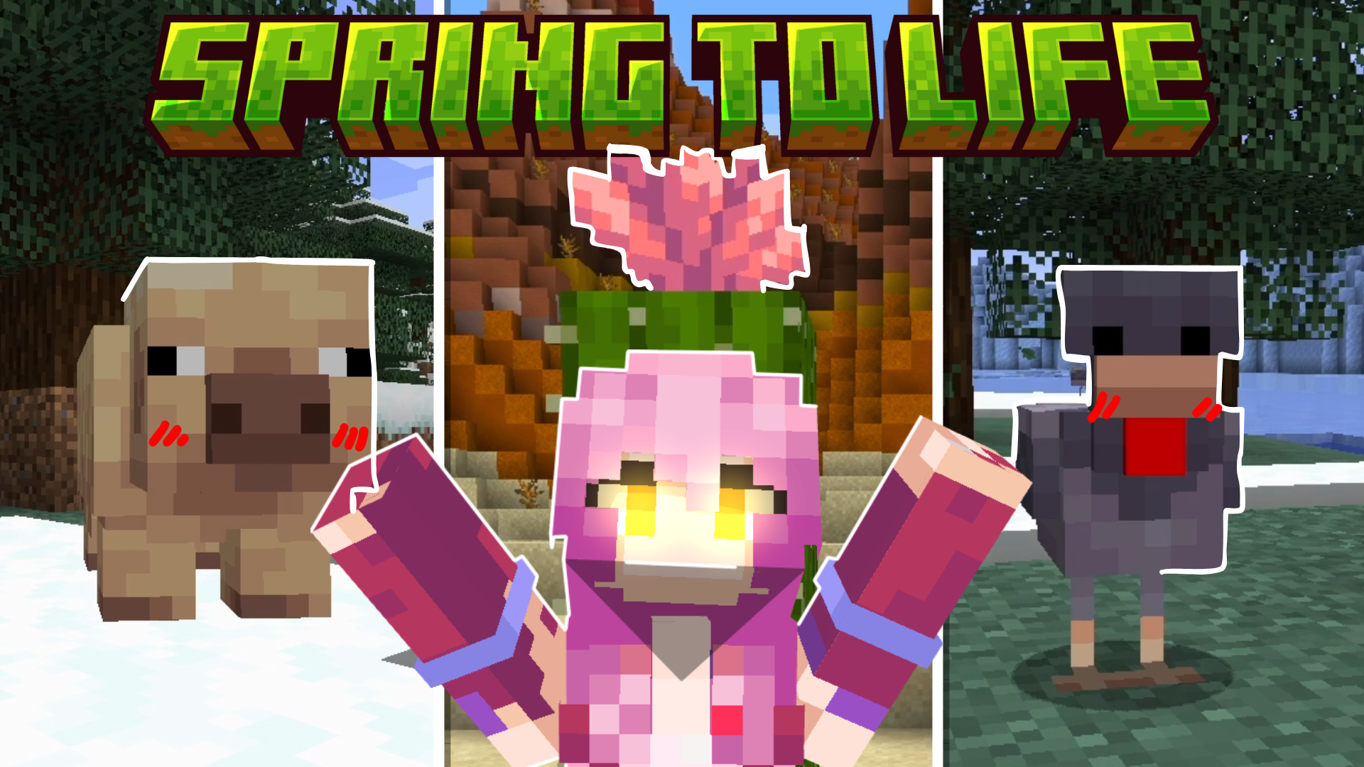 Post image from Secret Society