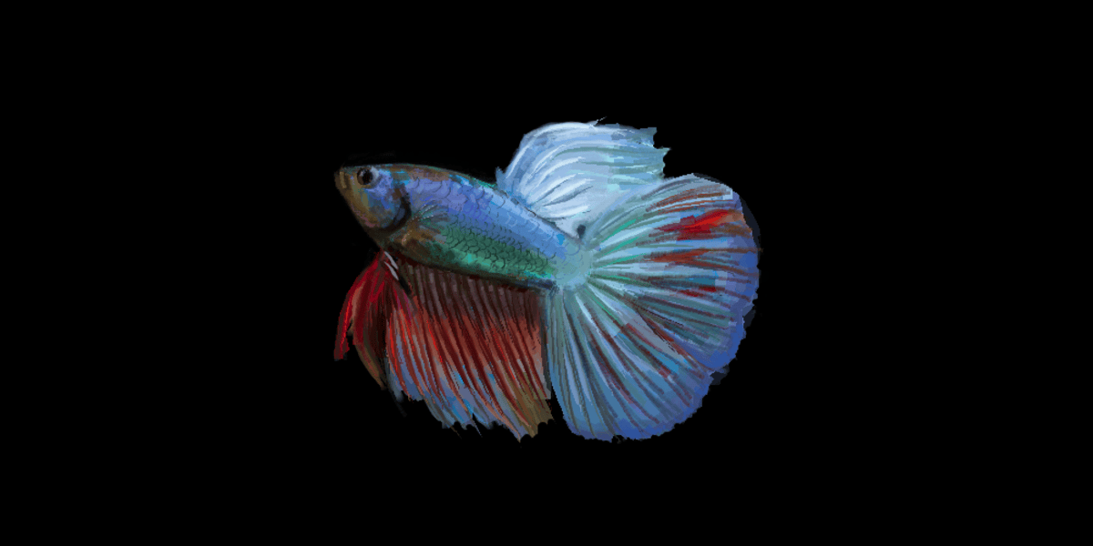 Aquatic Haven thumbnail