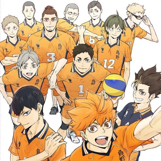 Haikyu!! icon