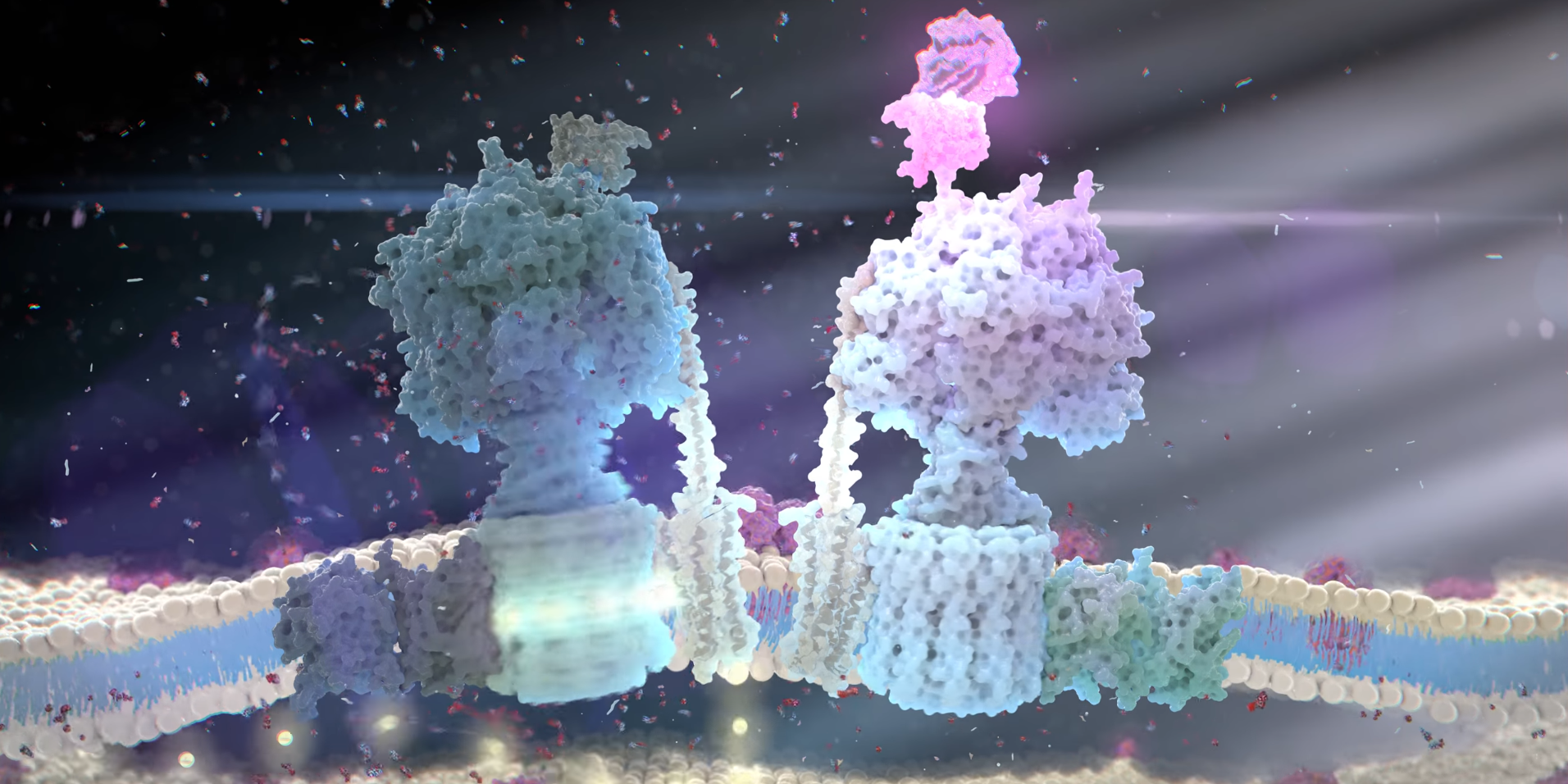 BiochemEdits thumbnail