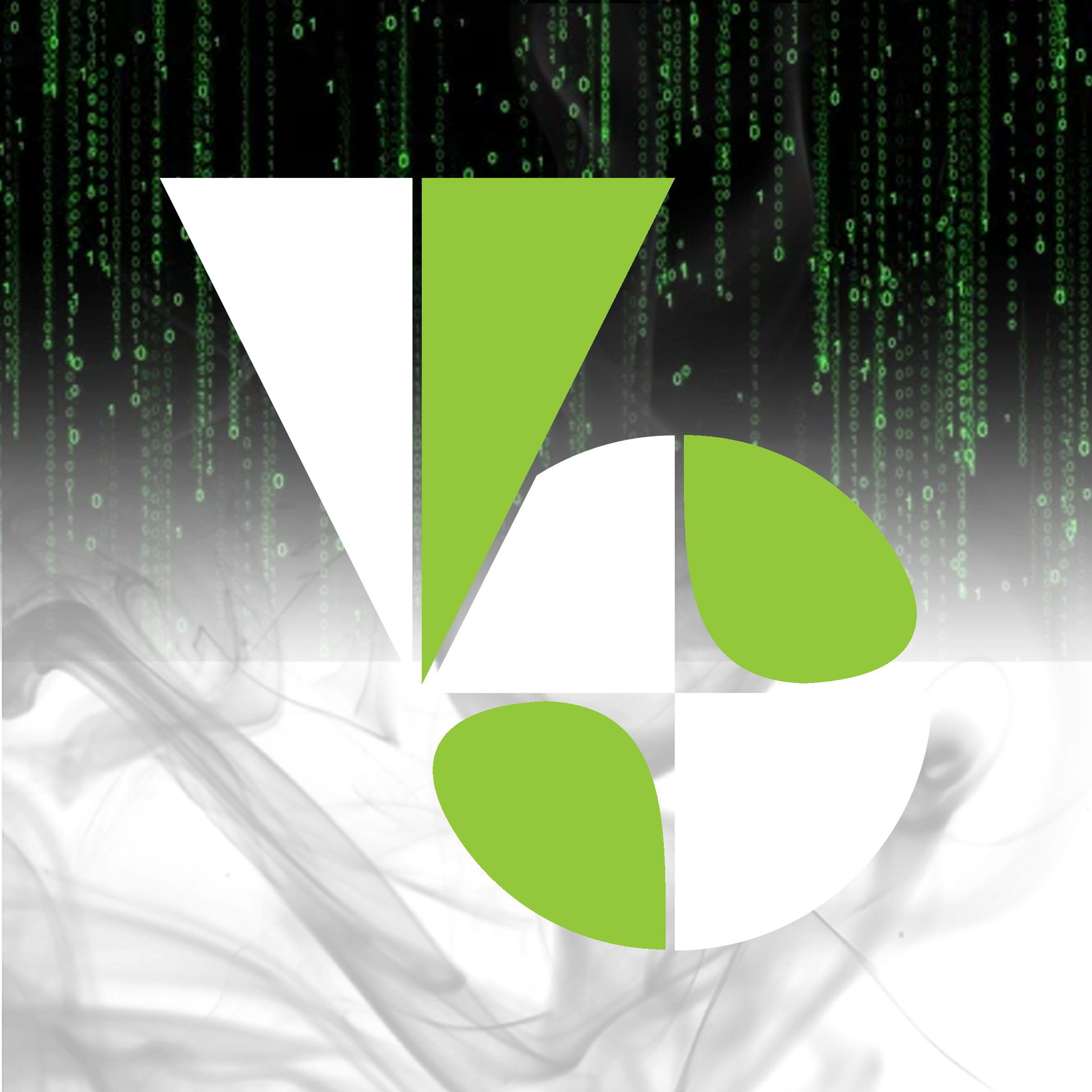 Virtual Society icon