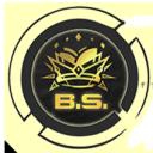 BachuruServas.lt icon