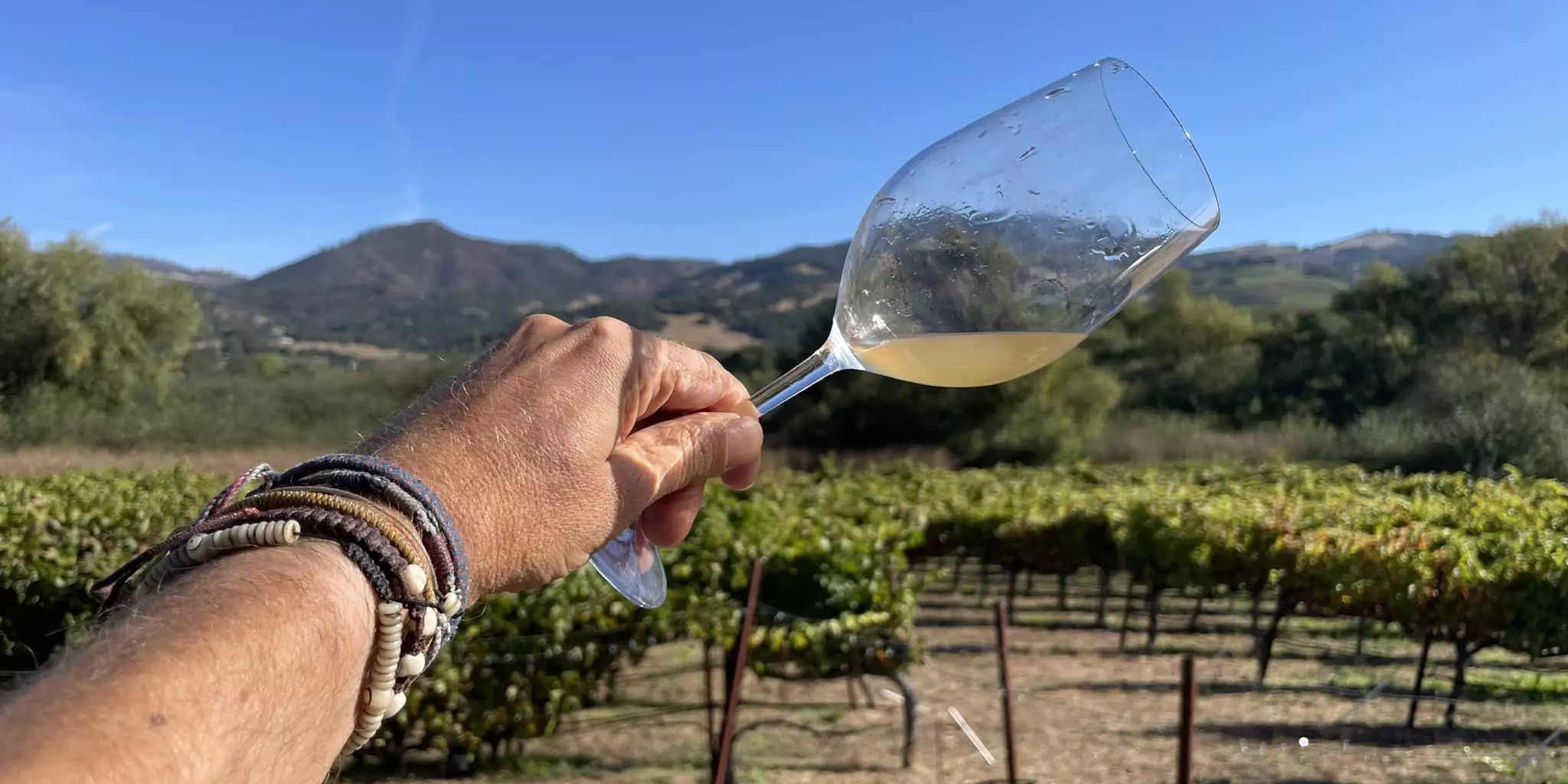What Wine Is Sonoma Valley Known For?