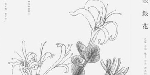 Comunidad de roblox thumbnail