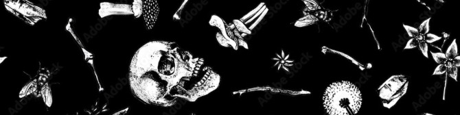 🕯️🕸️ Cozy Coven 🕸️🕯️ banner