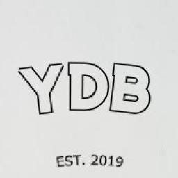 The YDB Community