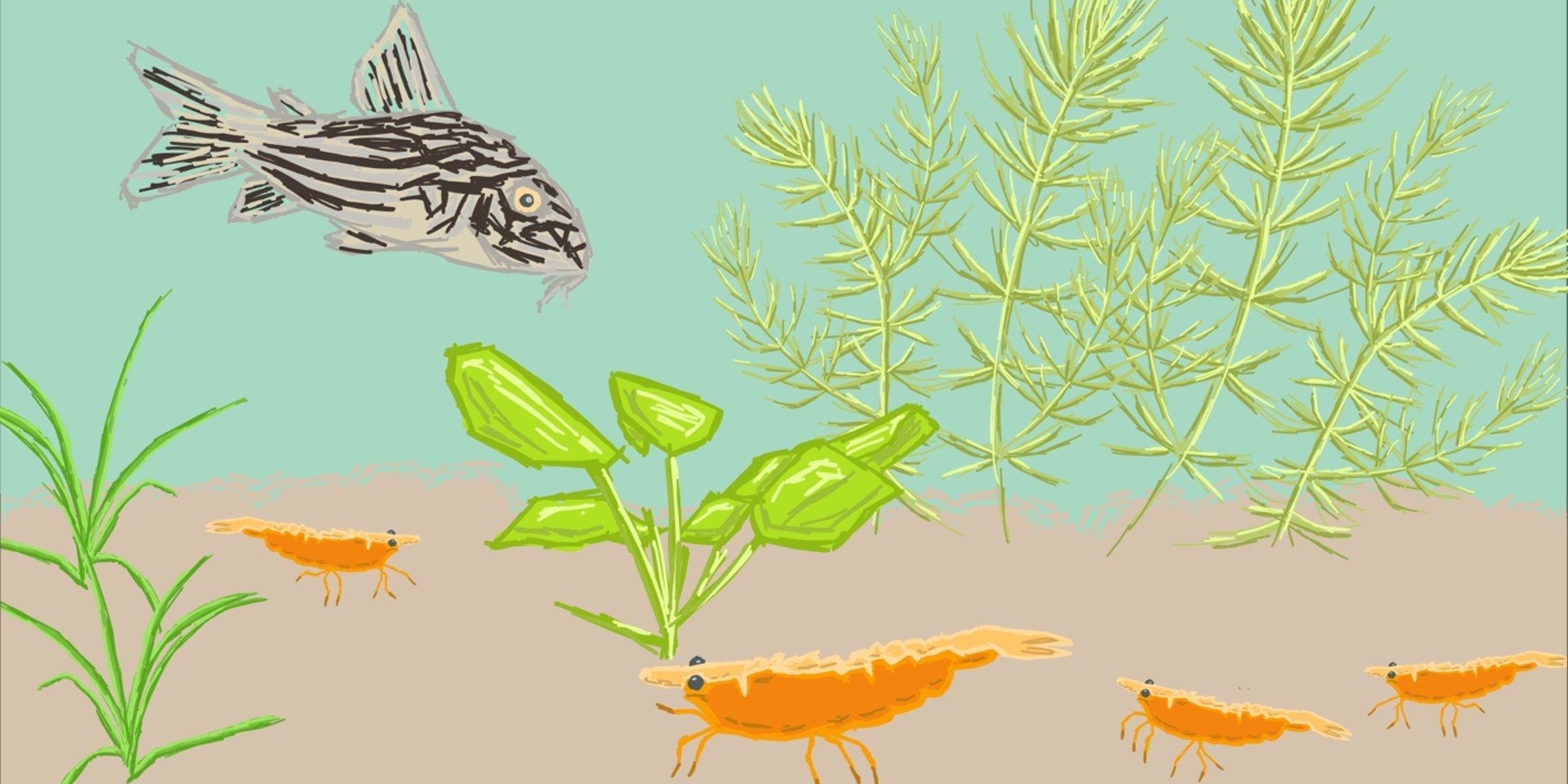 Aquatic Haven thumbnail