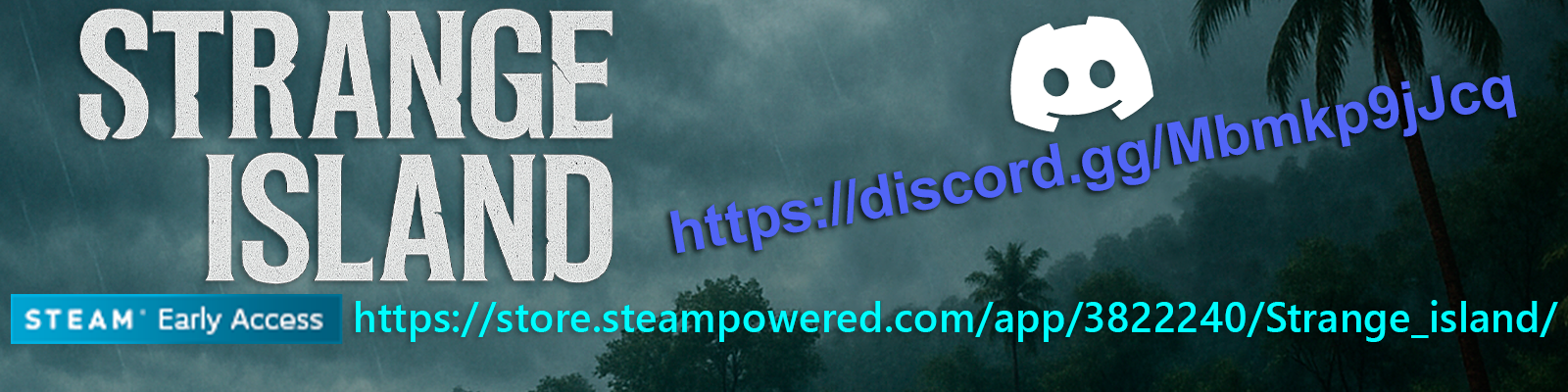 Black Bear Studio banner