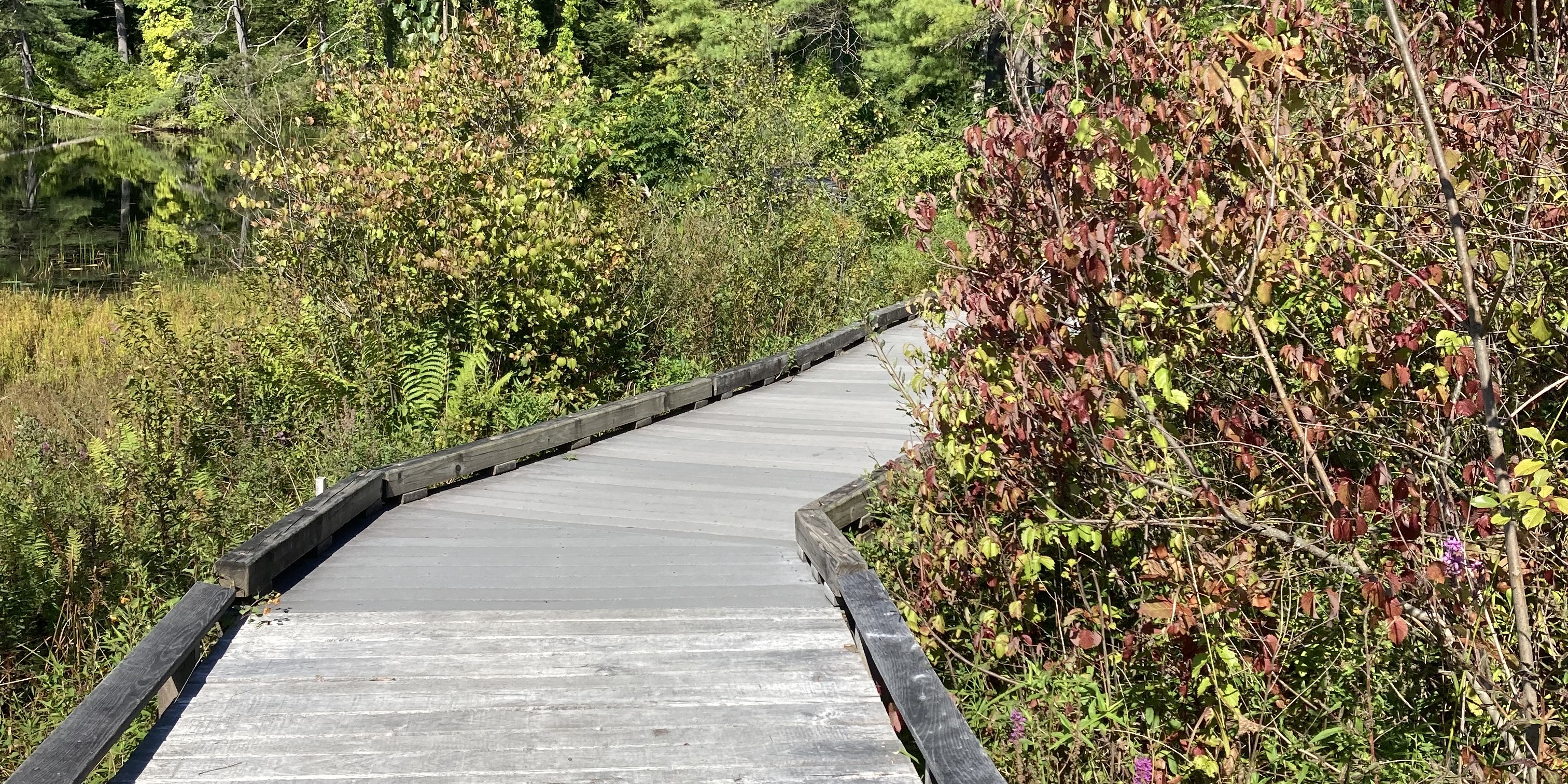 Looking for more staff members