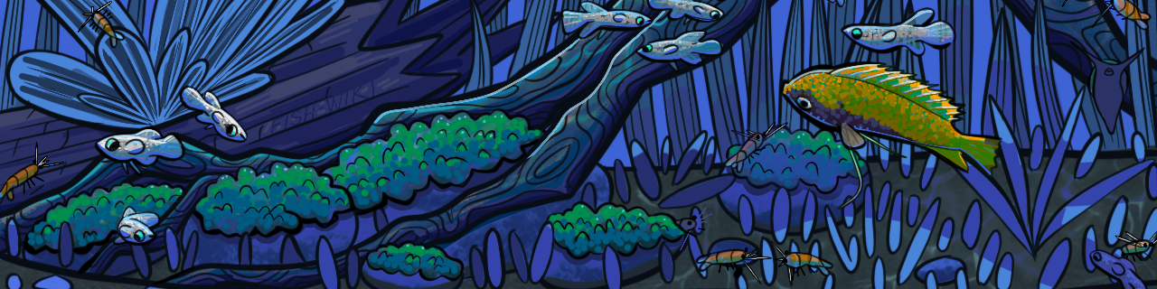 FishWiki banner