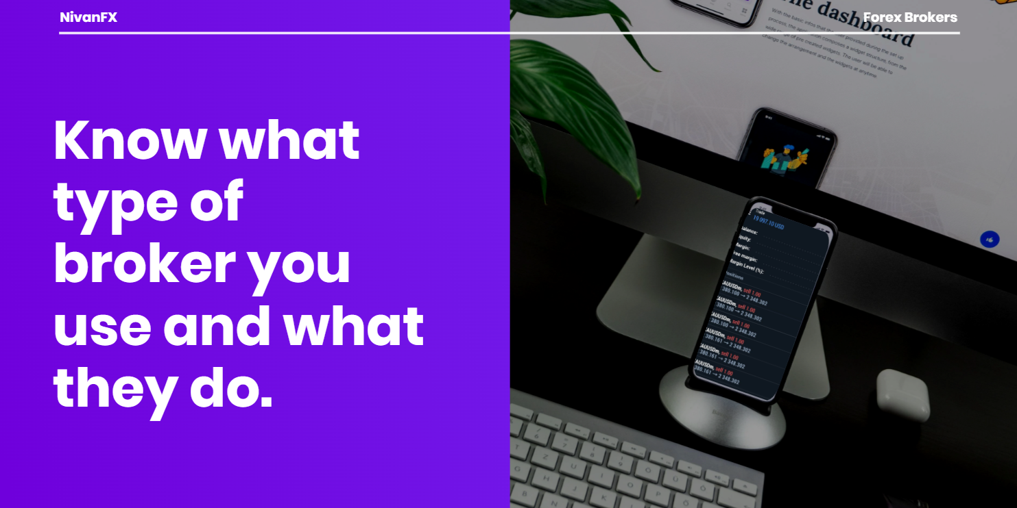 Behind the Scenes of Forex Brokers: What Every Beginner Needs to Know