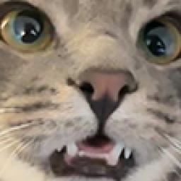 Figiment's Grivvy Nook