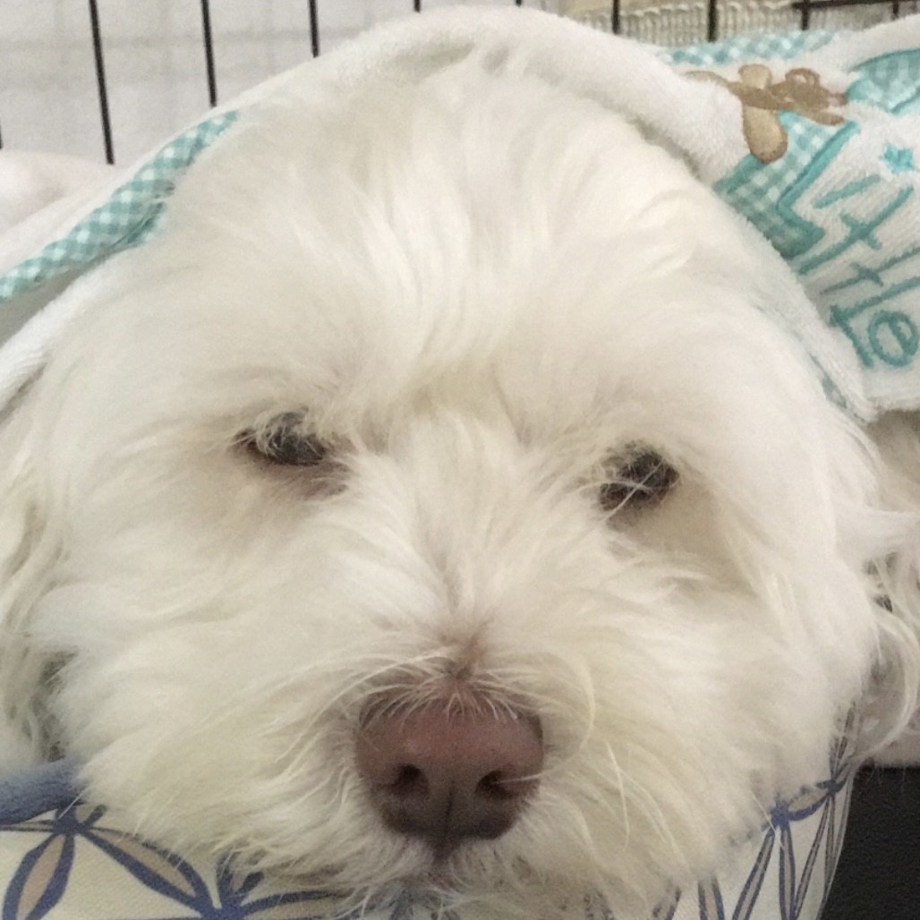 Post image from Secret Society