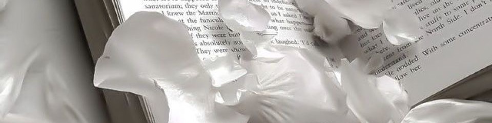 Comunidad de roblox banner