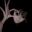 yashahime's profile picture