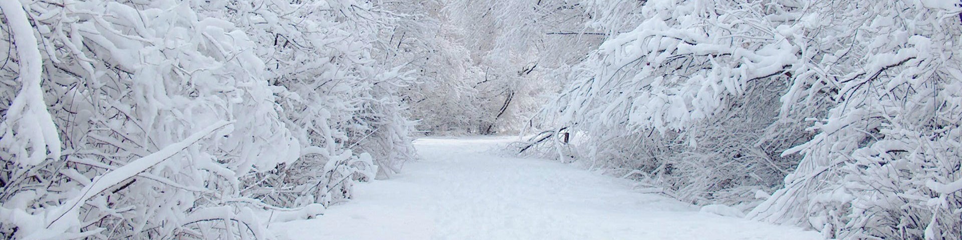 On With John Weather banner