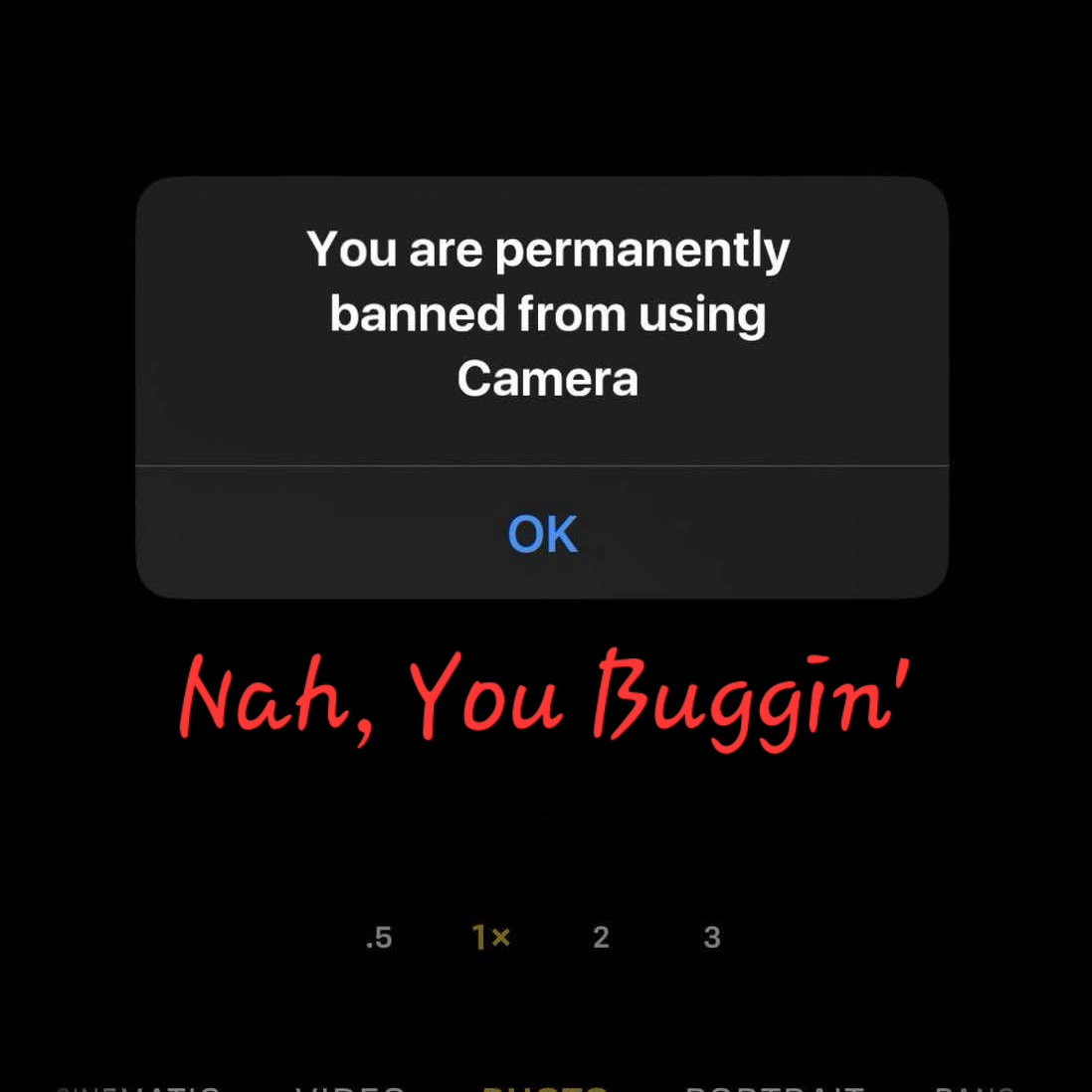 Nah, You Buggin' icon
