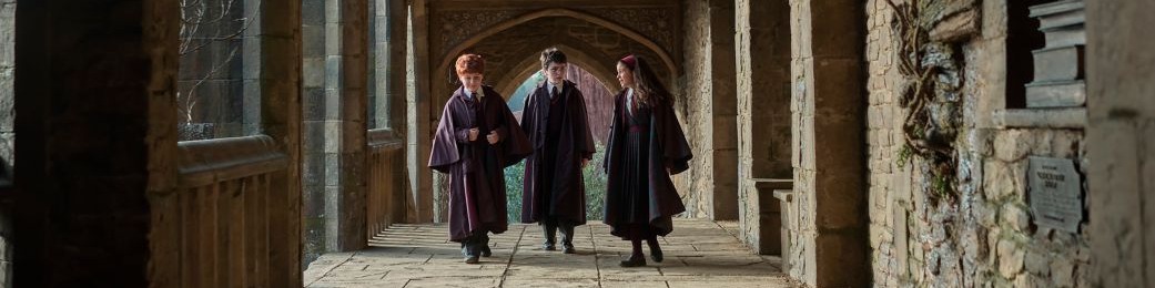 Harry Potter on HBO banner