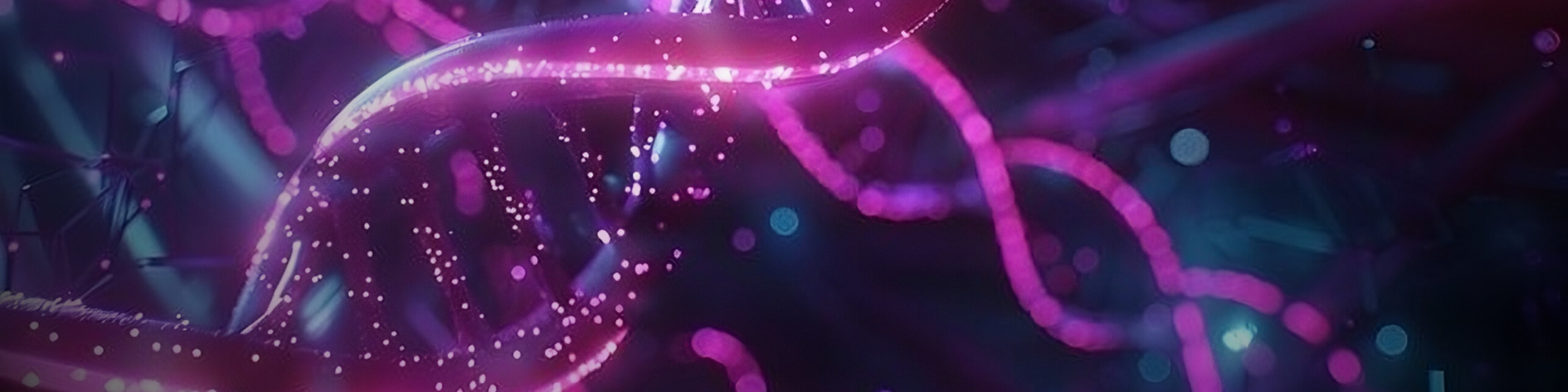 Nootropics Supplements Discord banner