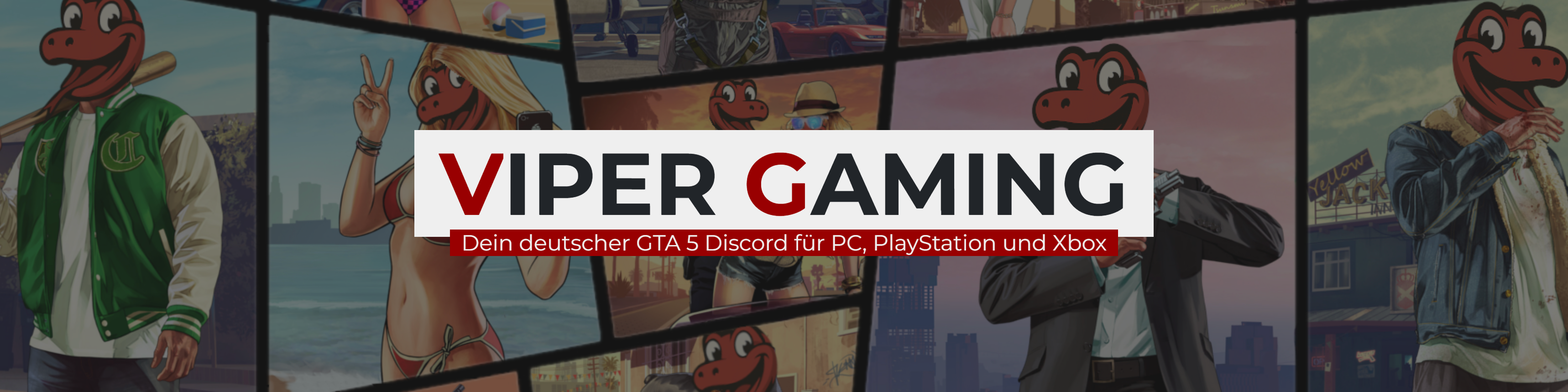 GTA 5 Viper Gaming Germany banner